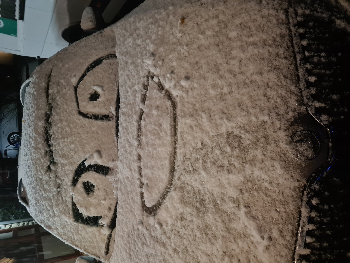 Buchenau_2022 (232).jpg